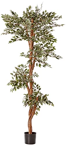 Nearly Natural 5345 Variegated Ficus Tree, 6-Feet, Green