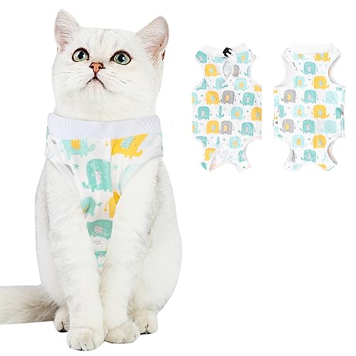 How to Get A Cat To Eat After Surgery My Pets Guide