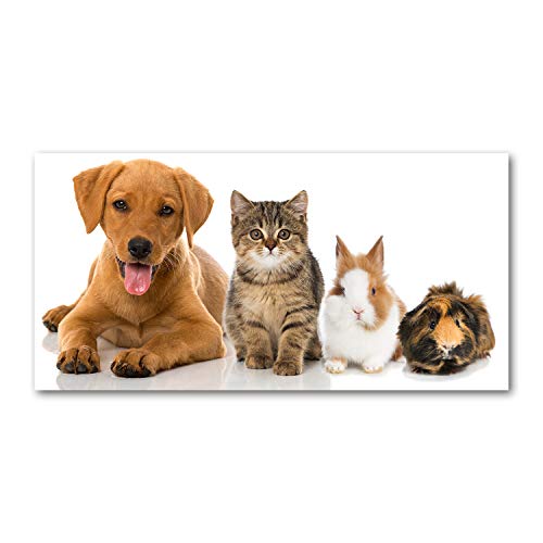 Splashback guard en verre dosseret cuisine 100x50cm imprimé animaux Tulup