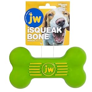 JW Pet Company iSqueak Bone Rubber Dog Toy, Medium, Red,Blue,Green, 43036