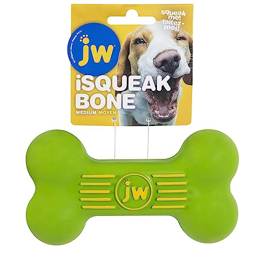 JW Pet Company iSqueak Bone Rubber Dog Toy, Medium, Red,Blue,Green, 43036
