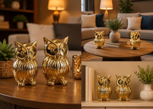Image of Chocozone Pack of 2 Owl Showpiece for Good Luck Vastu Feng Shui Items for Home Decor Figurines Decorative Items for Home Showpieces for Living Room