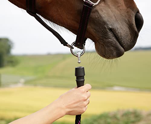 Cabestro para caballos Goleygo System con mosqueton rapido para evitar tirones en ponis 3