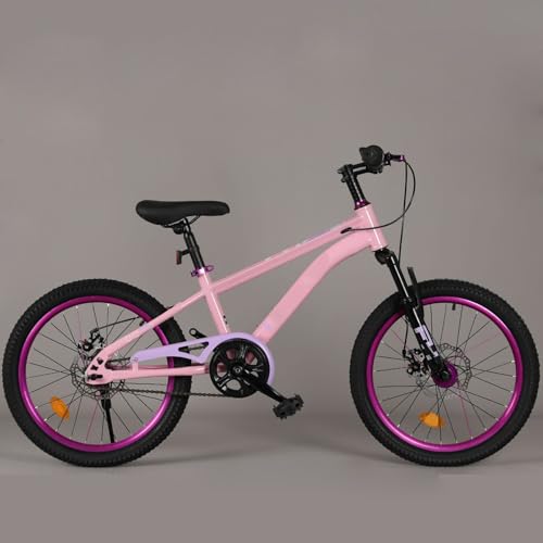 Bicicleta de Montaña Juvenil de 22 Pulgadas de Una Sola Velocidad Llanta Morada con Freno de Disco Amortiguador Adecuada para Niños y Niñas E,22 Inches