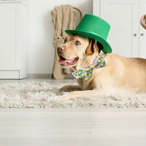 Collier de la Saint-Patrick avec nœud papillon, le cadeau idéal pour animal