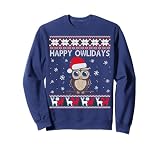 Happy Owlidays Funny Owl Ugly Christmas Sweaters Sweatshirt