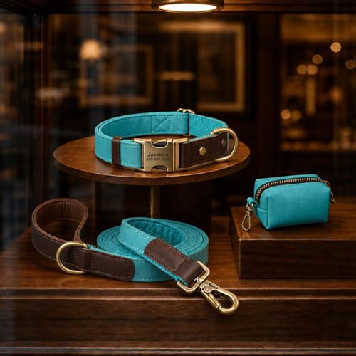 Image of Personalized Dog Collars, Quick Release Buckle, Light Blue,XL