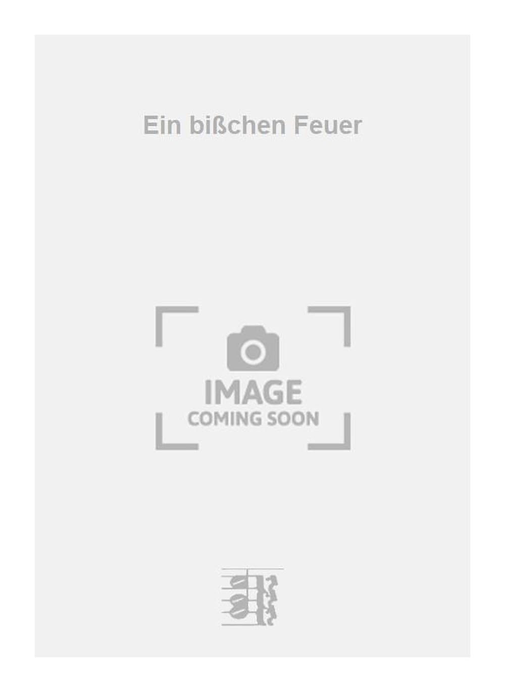 Ein bißchen Feuer. Salon Orchestra.