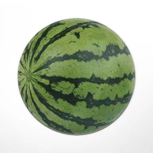 �I�t�B�X�p�i�}�E�X�p�b�h�A�}�E�X�L�[�{�[�h�A3D �p�^�[�� �}�E�X�p�b�h�A�Q�[�~���O �N���G�C�e�B�u �}�E�X�p�b�h�A�p�[�\�i���C�Y �}�E�X�p�b�h (Kiwi �}�E�X�p�b�h)(Watermelon mouse pad)