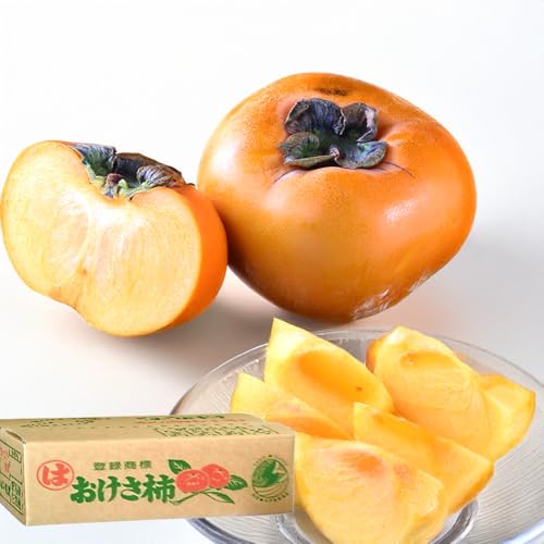   ` VY a`  Vuh` j 햳 ʎ ʕ t[c ܂Ƃߔ p ƒp yBOz [`iP[Xj7.5kg] (C[iP[XMjG7.5kg])