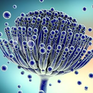 Glucosamina Pura 500 90 Ovaesi - 5