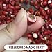 Miracle Berry Freeze Dried 50 halves magic berry - Turns Sour to Sweet - As seen in TV and Tiktok