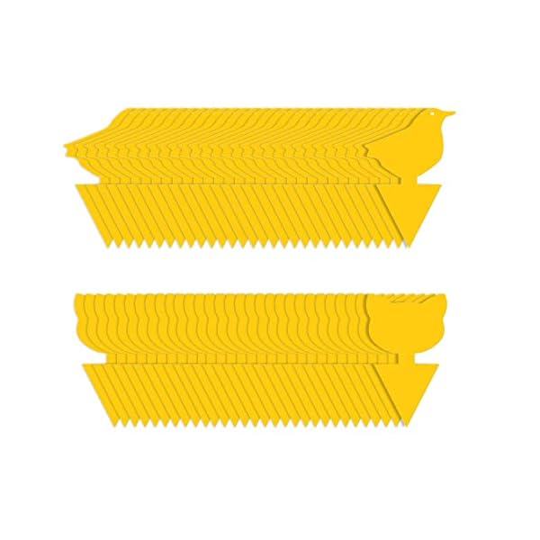 Atrapa Moscas trampas para moscas adhesivas,Trampa Atrapa Moscas,Gelbsticker Trauermücken 60X Trauermücken Bekämpfen Trauermückenfrei Fliegenfalle Fliegenfänger Gelbtafeln Gegen Fliegen Obstfliegen