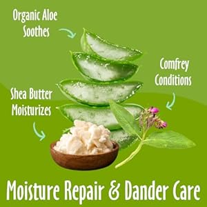 earthbath, Hypoallergenic Shea Butter Spray - Dog Dandruff Treatment, Dog & Cat Skin Moisturizer, Plant-Based, Cruelty-Free, Vegan, Gluten-Free, Non-GMO, Moisture Repair & Dander Care - 8 Oz earthbath Hypoallergenic Shea Butter Spray Dog Dandruff Treatment Dog Cat Skin Moisturizer Plant Based Cruelty Free Vegan Gluten Free Non GMO Moisture Repair Dander Care 8 Oz