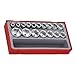 Price comparison product image Teng TT12176 1/2-inch Metric 6p Socket Set Drive (17 Pieces)