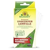 Neudorff Permanent UngezieferLeimFalle Nachfüllpack – Zum einfachen Nachfüllen der Ungezieferfalle zur Bekämpfung von Ungeziefer. Geruchlos, 4 Stück