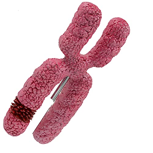 Modèle anatomique méiose pour enseignement des sciences et formation médicale
