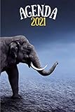 amiga zorro usb  Agenda 2021 Elefante: Agenda 2021 semana vista elefantes - una Semana en dos Páginas - organizador - planificador semanal y mensual 12 meses A5 - ... - regalo para mujer hombre Elephants lovers