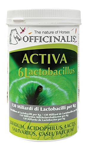 Officinalis Activa 6L Lactobacillus mangime