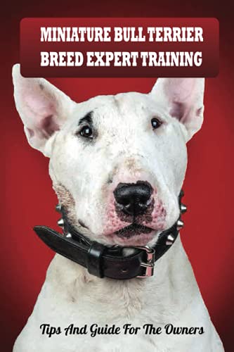 Miniature Bull Terrier Breed Expert Training: Tips And Guide For The Owners: Raising A Miniature Bull Terrier