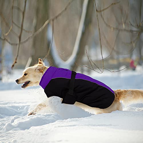 Dasior Dog Winter Coat, Warm Fleece Pet Jacket, Windproof Cold Weather Reflective Clothes Purple Xl #TOP7