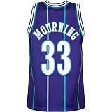 Mitchell & Ness Swingman Alonzo Mourning Charlotte Hornets 94/95 Trikot (M, Purple)