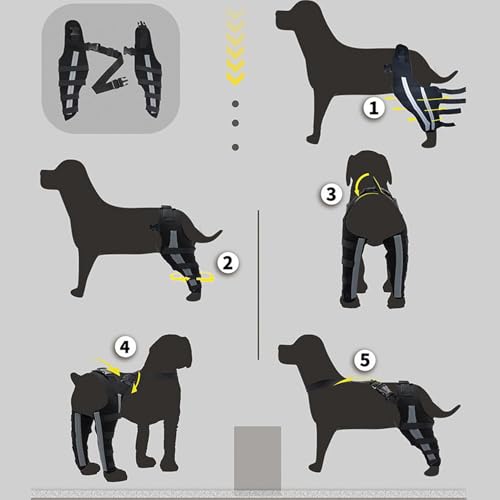 Rückenbandage für Hunde, Rückenstütze für Hunde | Hüftstütze von Pet Hock, tragbarer Wundschutz für Haustiere zur Erholung von Kleintieren