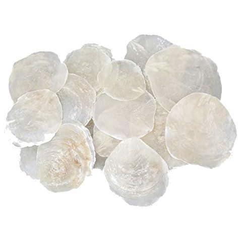 RiloStore Pack of 25 Mother of Pearl Discs Natural White 7-11 cm Table Cards Name Cards Shell Discs Round Mother of Pearl Sheets Maritime Decoration Anchor Baltic Sea Shells Cover