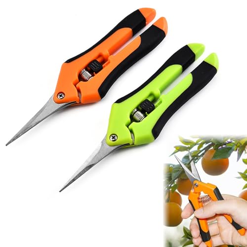 2Pcs Forbici da Giardinaggio Forgiate, Forbici da Potatura, Cesoie per Piante Forbici Cesoie a Mano, per Piante, Fiori, Rami, Bonsai, Legume, Frutti