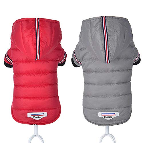 Manteau chiens contre la pluie veste hiver pour Chihuahua M