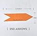RouteArrows 250 Pack ($.40/Arrow) Strong Adhesive Orange Arrow Stickers, Hi-Viz Directional Arrows Perfect for Outdoor Pavements and Most Indoor Floor Types