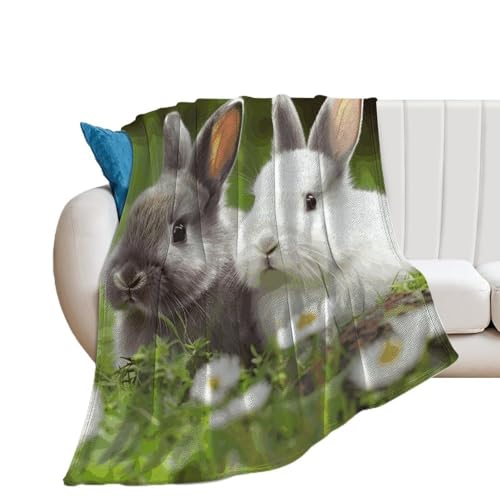 Couverture de luxe en microfibre motif lapins pour lit douillet