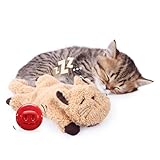 ALL FOR PAWS Cat Toys for Indoor Cats, Purring Cat, Catnip Toys, Cat Plush Toy, Cat Pillow, Anxiety Toys, Kitten Toys, Pet Toy