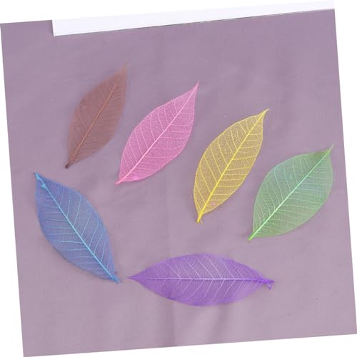 Hohopeti 50 Peças Folha De Esqueleto Arte De Parede Scrapbooking Natural Artesanato Scrapbooking Fol