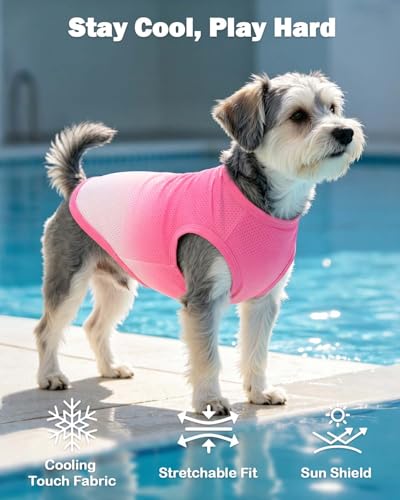 Image of CuteBone Ombre Dog Tank Top for Small Dogs, Cats - Tropical Summer Pet Vest - Breathable Ice Silk Cooling Shirt - Sun Protection, Photo, Casual Play, Walks