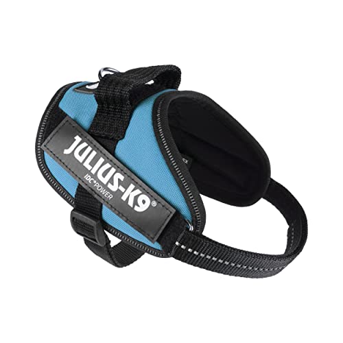 JULIUS K-9 IDC Powergeschirr, Größe: XS / Mini-Mini, Aquamarine, 16IDC-AM-MM