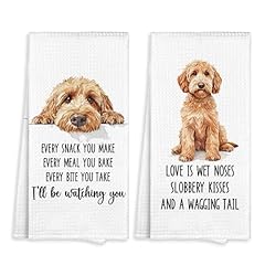 Goldendoodle-2