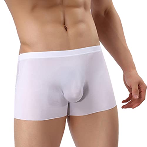JEsilunmaMY Mens Low Waist Ice Silk Underwear Moisture-Wicking Breathable Sheer Boxer Briefs Solid Color Support Pouch Trunks3