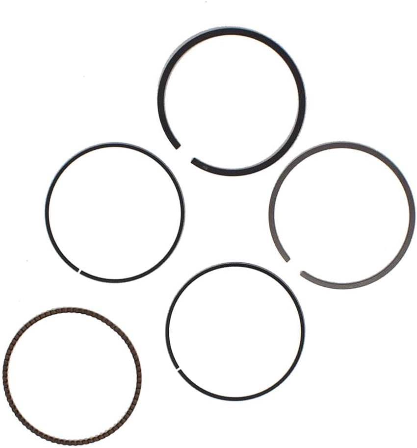 labwork Piston Rings 74mm Replacement for Honda Fourtrax 300 1988-2000 Replacement for Honda Sportrax TRX300EX 2001-2009