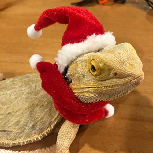 Bestomrogh Pet Christmas Costume, Christmas Pet Santa Hat, Christmsas Hat Red Scarf Pet Christmas Party Cosplay Accessories for Dog Cat