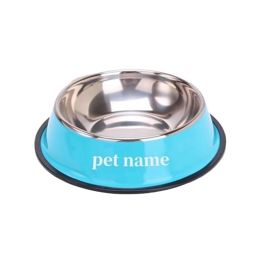 Cadeau commémoratif bol pour animaux personnalisé en acier inoxydable bleu