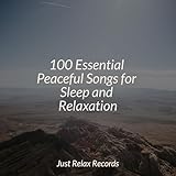 Just Relax Records