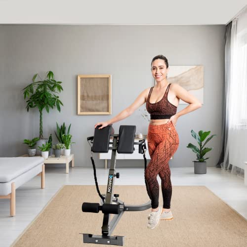 Darcon Hyperextension Bench Roman Chair - Adjustable And Foldable Back Extension Bench, Glutes Home Workout Equipment For Women And Men. Full All-In-One Body Workout. Set Includes 2 Rope Band, And 2 Handles. #TOP2