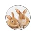 Lapin Brun Mignon Aimant Réfrigérateur Idéal pour Les Tableaux Blancs Décoratifs Et Autres Surfaces Métalliques en Cadeau