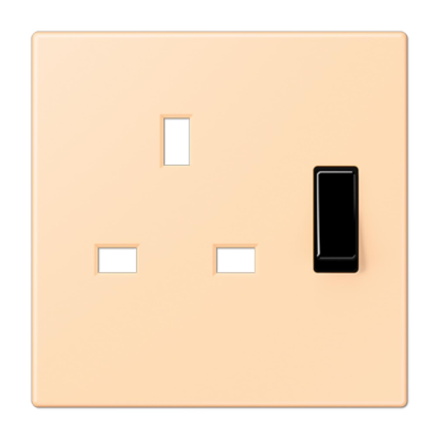 Prise BS simple LC32060 JUNG resout problemes de faux contacts muraux