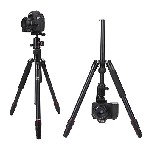 Fotopro Dslr Tripod 54 Inch 360 Panorama Ball Head Quick Release Plate Aluminum Lightweight Camera Tripod For Travel And Work,M5I Black #TOP2
