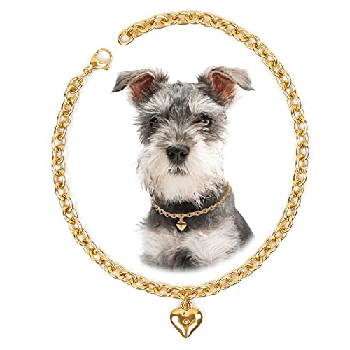 Image of HOWWFALY Dog Collar and Cat Chain Necklace Stainless Steel Adjustable 18K Gold Heart-Shaped Necklace for Small Pets Cats Kitten Puppy (Gold, 12 inch)