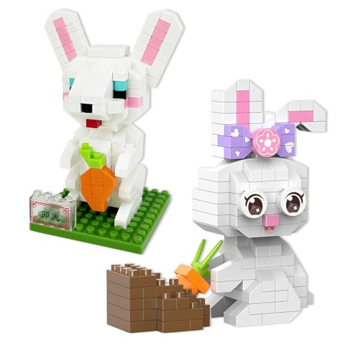 KAFZEL 2 PièCes Micro Puzzle 3d Blocs,Pour Enfants à Partir De 6 Ans Collection Et DéCoration, Jouet De Construction Et éDucatifs, Cadeaux Pour GarçOns Et Filles