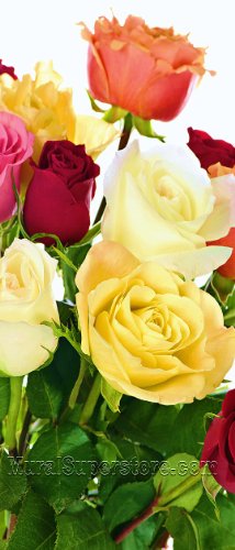 Rose Pedals Peel & Stick Canvas Re-usable Wall or Door Mural (3 Feet Wide x 7 Feet High)