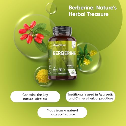 Berberine Supplement - 500mg per Capsule - 4 Months Supply - 120 Capsules - Stable Berberine Form- 1 per Day - Vegan-Friendly & Non-GMO - Sourced from Berberis Aristata